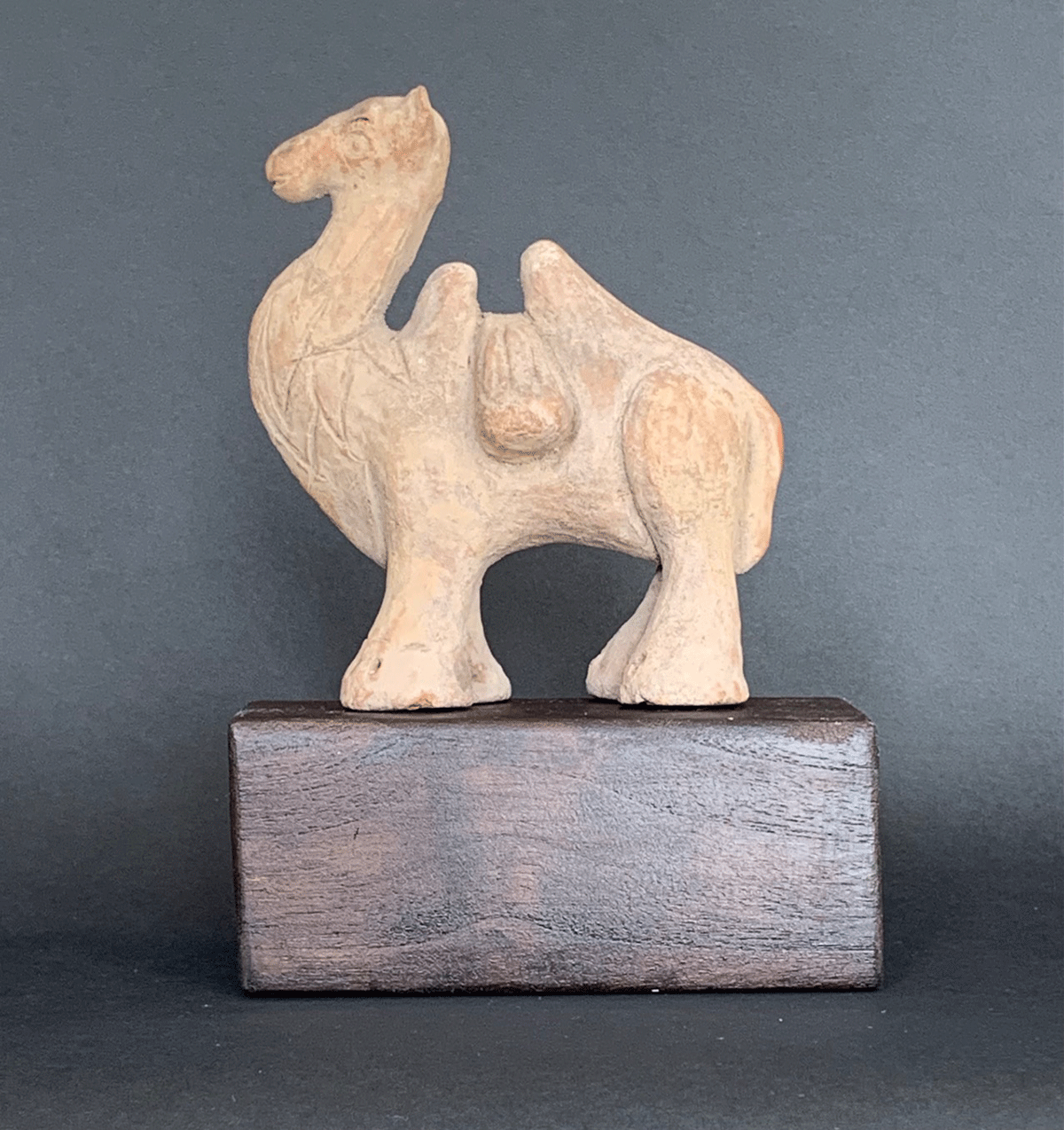 Majapahit Empire Terracotta Camel - Image 4