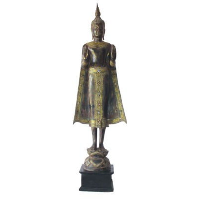 Buddha8